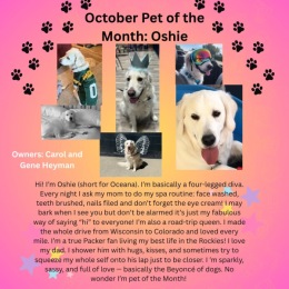 a social media post about a dog