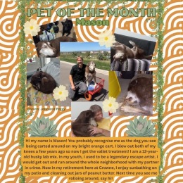 a pet of the month graphic